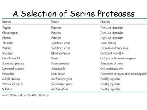 Serine protease