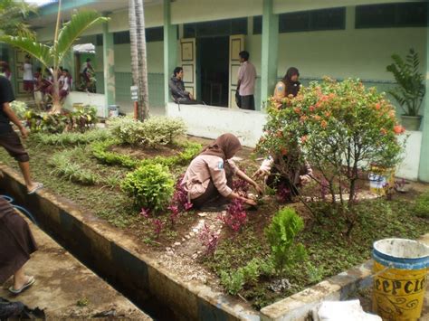 Fungsi & Kegunaan Tanaman Taman Sekolah Bagi Siswa-Siswi - CentralBonsai.Com :: Berbagi Ilmu ...