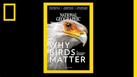 See 130 Years of National Geographic Covers in Under 2 Minutes ...