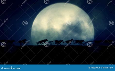 Small Pack of Wolves Running on a Rising Full Moon Night Stock Footage - Video of full, coyote ...