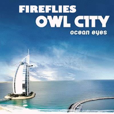 It's My Spot: Owl City - Fireflies