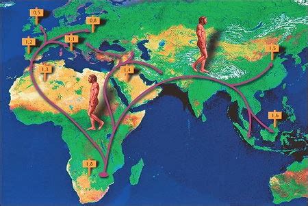 Serendipity Geografía e Historia: PREHISTORY: HUMAN EVOLUTION ...