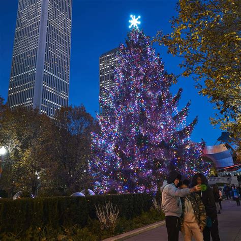 City of Chicago's 106th Christmas Tree