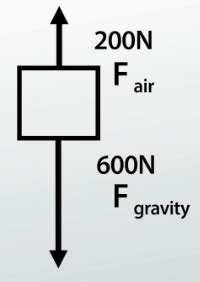 Net Force Physics