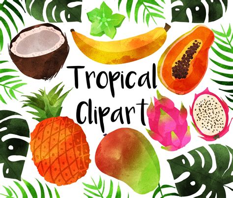 Watercolor Tropical Fruit Clipart Instant download Tropical | Etsy | Clip art, Fruit clipart ...