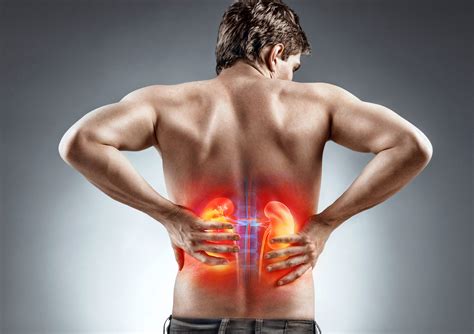 Kidney Pain - Everything you Need to Know - Apollo Hospital Blog