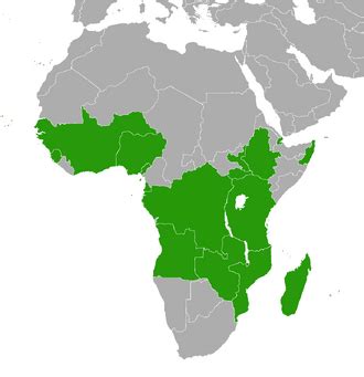 African Union | Chinese Superpower Wiki | Fandom