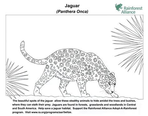 Minecraft Jaguar Coloring Pages