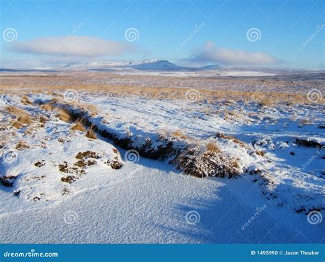 Landscape in Yorkshire Dales Stock Photo - Image of park, view: 1495990