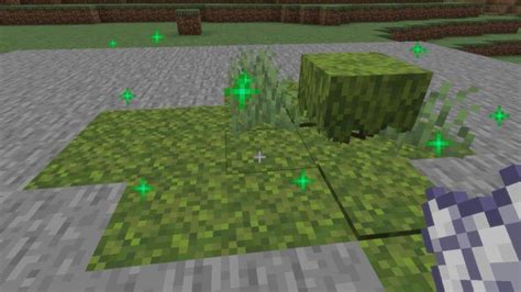 How To Get Moss Blocks In Minecraft? | Gamer Tweak