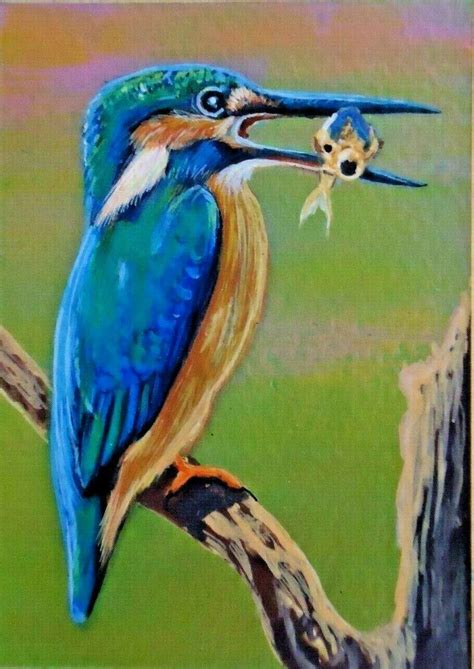 Kingfisher Bird Drawing at PaintingValley.com | Explore collection of ...