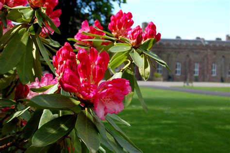 Scone Palace Garden