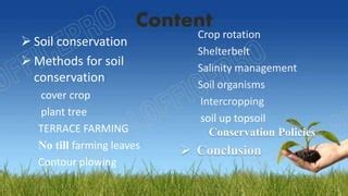 What Is Soil Conservation: Exploring Four Vital Methods For India