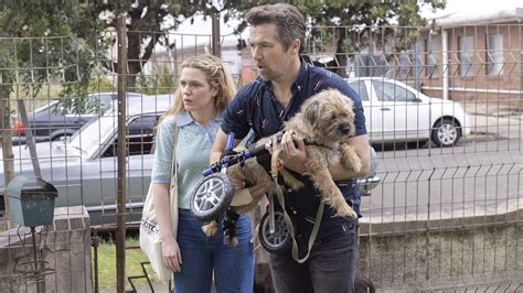 Binge Has Renewed Charming Aussie Rom-Com Sitcom 'Colin From Accounts ...