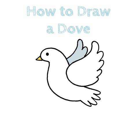 Learn to Draw a Beautiful Dove - Step by Step Tutorial