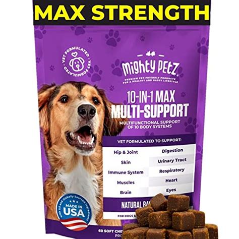 Best dog vitamins for senior dogs : Our Favorite of 2022 - licorize