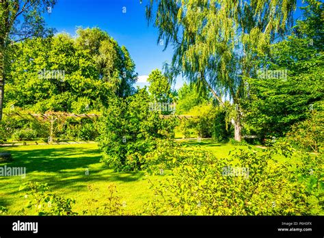 The Rose Garden in Provins, France Stock Photo - Alamy