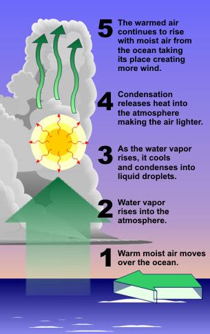 Tropical Cyclone Introduction | National Oceanic and Atmospheric Administration