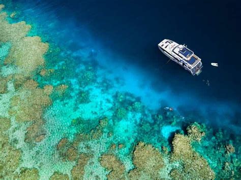 From Cairns: Great Barrier Reef Snorkeling and Diving Tour | GetYourGuide