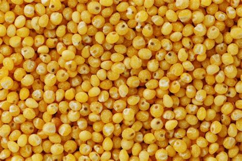 Premium Photo | Yellow millet . healthy grains vegetarianism, macro