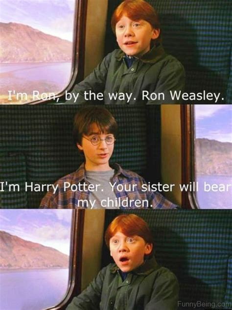 52 Top Harry Potter Memes