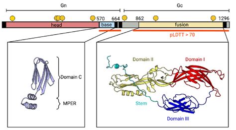 Organization of the glycoprotein. The upper panel shows a diagram of... | Download Scientific ...