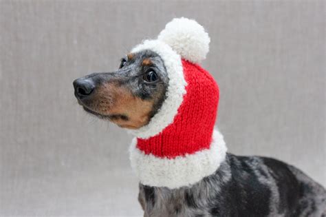 Small Dog Santa Hat Dachshund Santa Hat Dachshund Clothes | Etsy