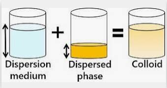 Is Milk A Colloid? Why? - Techiescientist