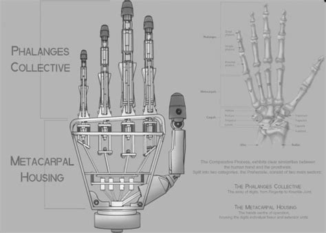 3D Printed Prehensile Prosthetic Hand Combines Elegance with Incredible Functionality - 3DPrint ...
