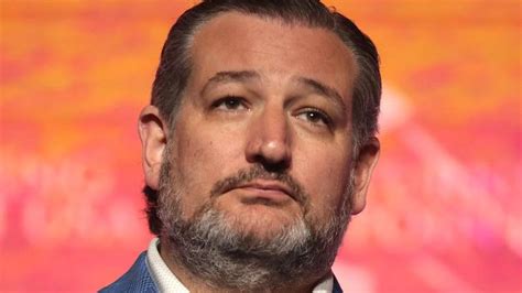 Dems plan to make 2024 race against 'cartoon villain' Ted Cruz the most ...