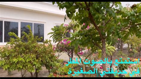 استمتع بالصوت المطر في حديقتي الصغيرة | Enjoy the sound of rain in my small garden - YouTube