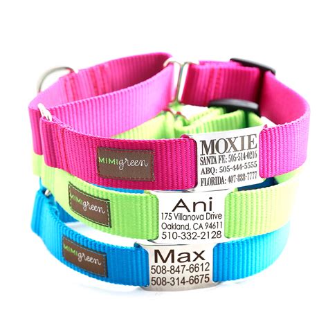 Dog Collar With Nameplate | Custom | 20 Colors & 22 Styles