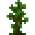 Jungle Sapling | Minecraft Bedrock Wiki | Fandom