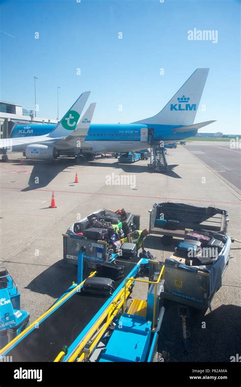 unloading luggage from airplane at Schiphol airport, Amsterdam, holland Stock Photo - Alamy