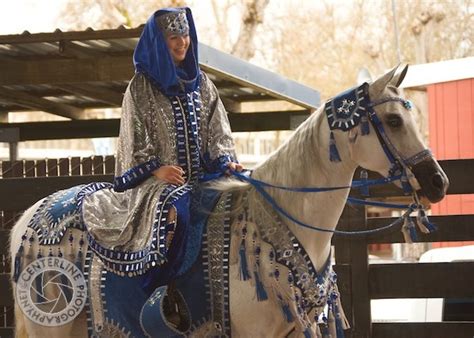 163 Best images about Arabian Horse - Native Costume on Pinterest | Arabian horses, Horse ...