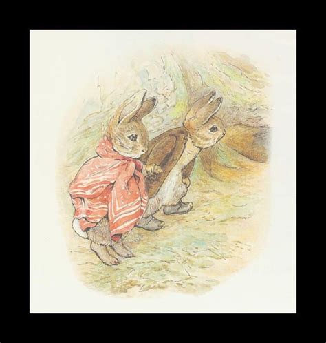 benjamin bunny peter rabbit - Fine Art Photo (28163858) - Fanpop