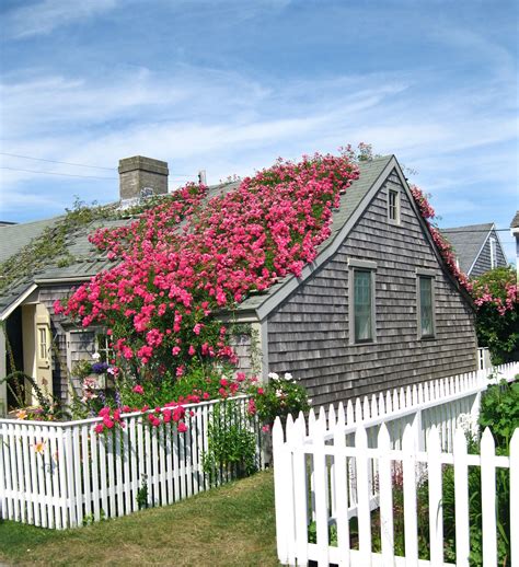 'Sconset | Beach cottage decor, Nantucket cottage, Beach cottages