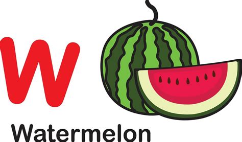 Alphabet Letter W-Watermelon vector illustration 3275835 Vector Art at Vecteezy