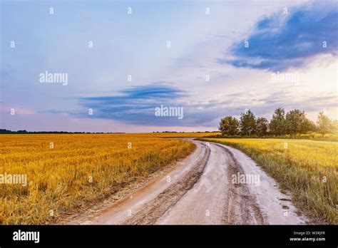 Field with rye and road at sunset time Stock Photo - Alamy