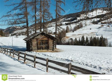 Small Wooden Shack and Fence among Trees in Winter Day with Fresh Snow ...