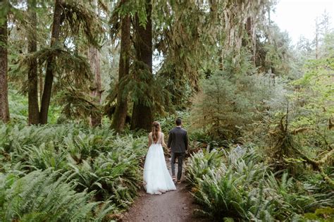 Ultimate Hoh Rainforest Elopement Guide for 2024