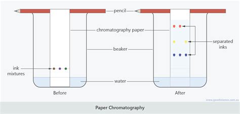 Chromatography Diagram Labeled