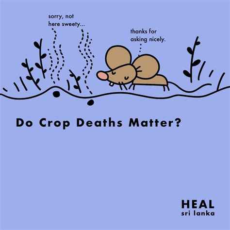 Do crop deaths matter?. Can we avoid crop deaths? | by Humane Education ...