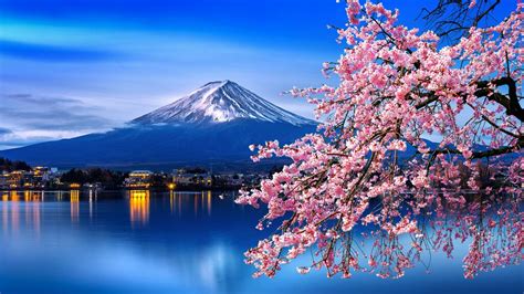 Japan Cherry Blossom Tour - 8 Days | kimkim