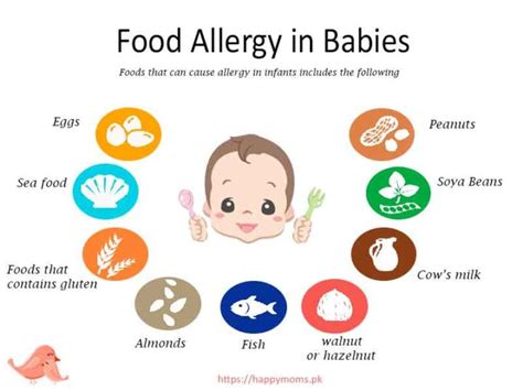 Food Allergy in Babies – Happy Moms