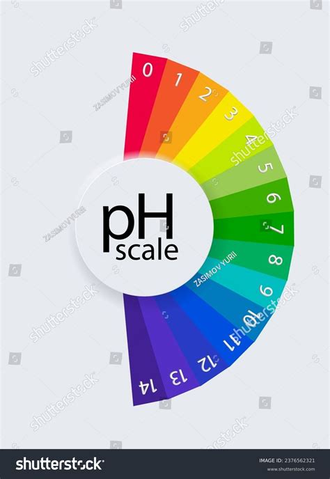 pH scale chart for acid and alkaline solutions. - Royalty Free Stock ...