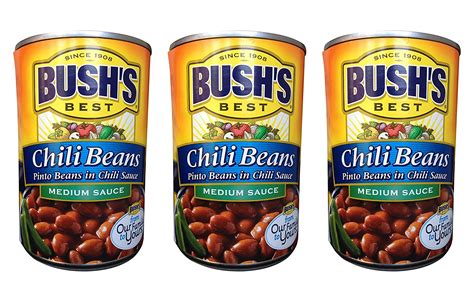 Amazon.com : Bush's Best Chili Beans- Pinto Beans in MEDIUM sauce- (3 pack) each can is 16 ...