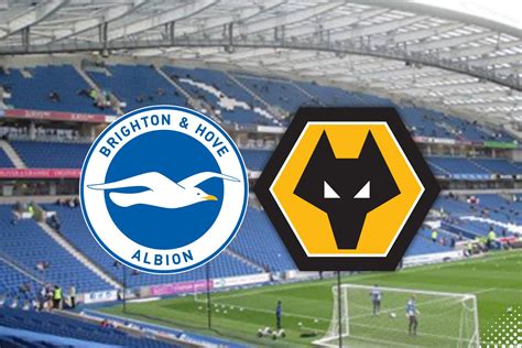 PREVIEW BRIGHTON V WOLVES - Always Wolves