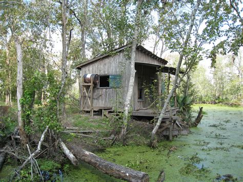 louisiana bayou shack | Louisiana+bayou+shack | Louisiana bayou, Louisiana swamp, Bayou country