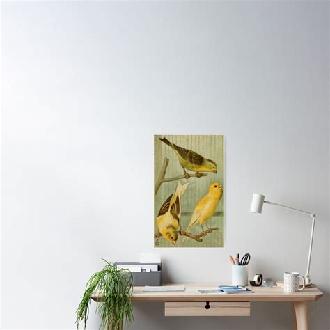 "Bird Aesthetic Drawing" Poster by chiarasbubble | Redbubble